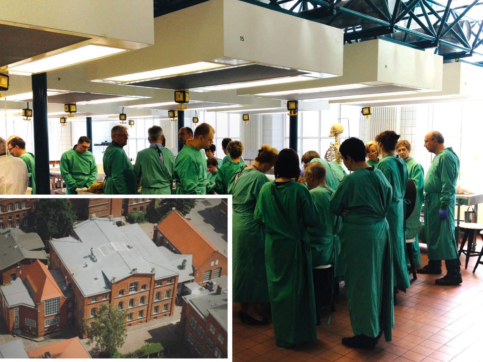 Kursleitung - Injektionstherapie an der Wirbelsäule mit Workshop - Demonstration der Injektionstechniken an anatomischen Präparaten