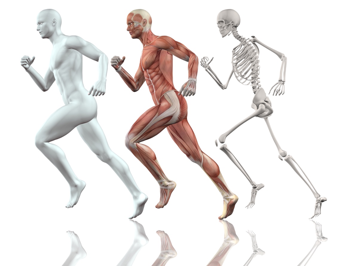 Orthopädie