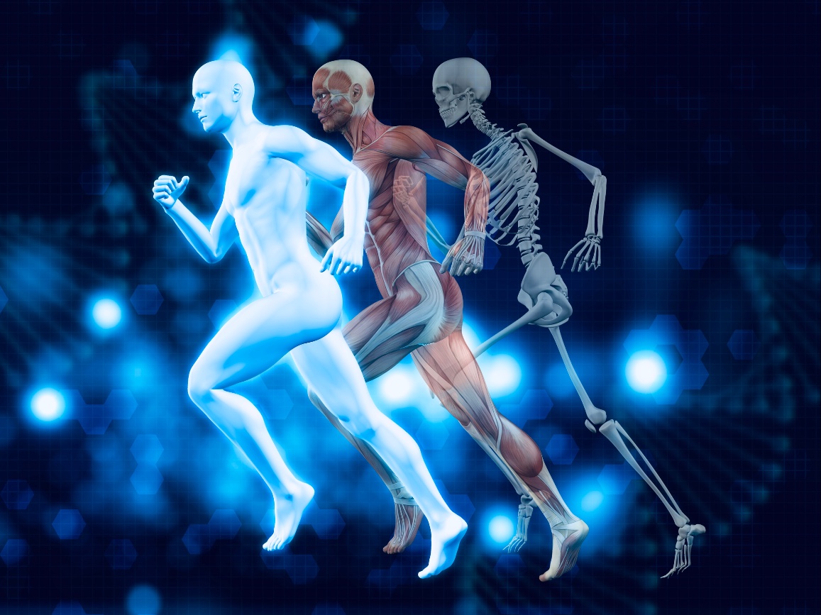 Sportmedizin